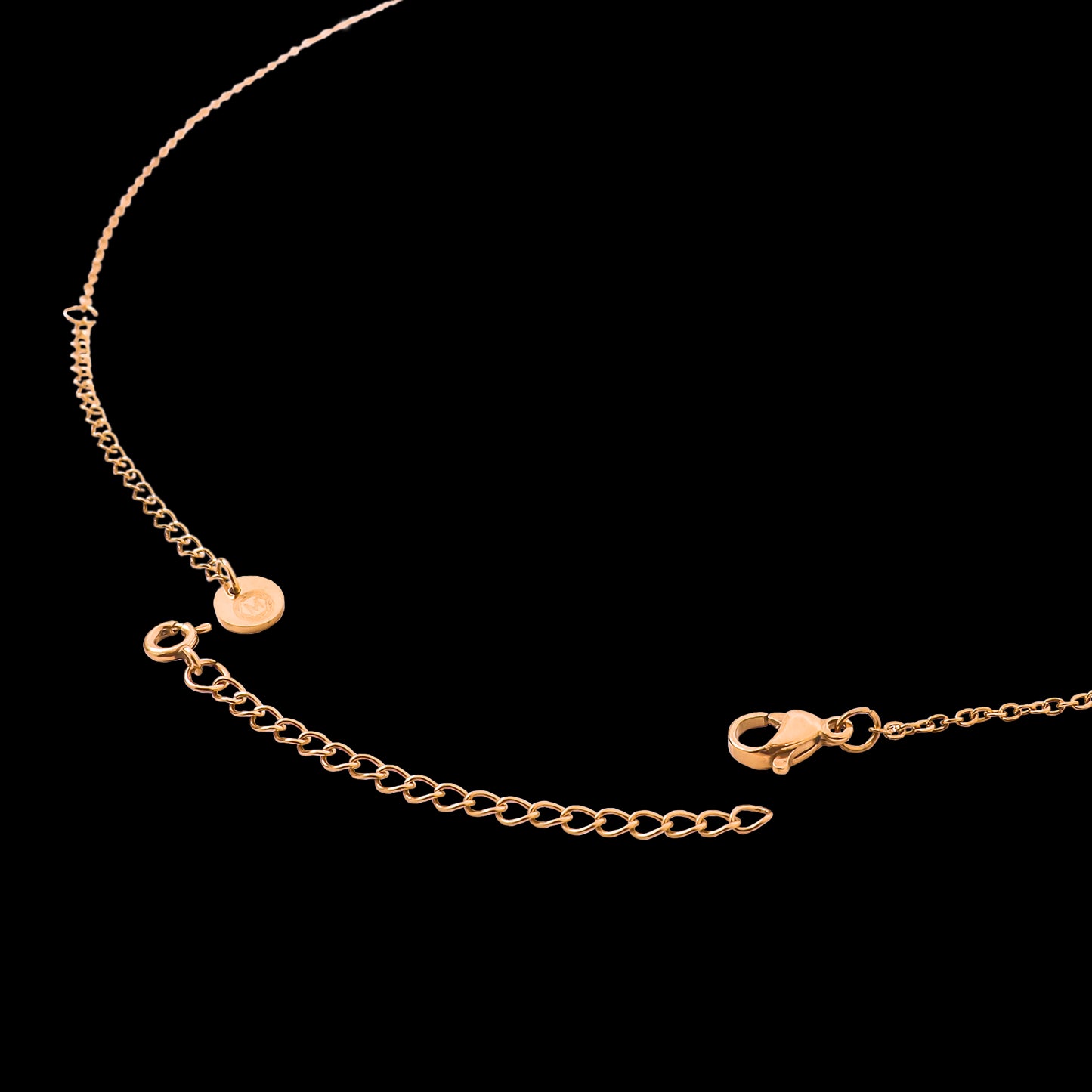 Catena Estensibile 5 cm