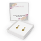 FLOWER OF LIFE Cherchi
